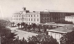 206-album, photo 11
